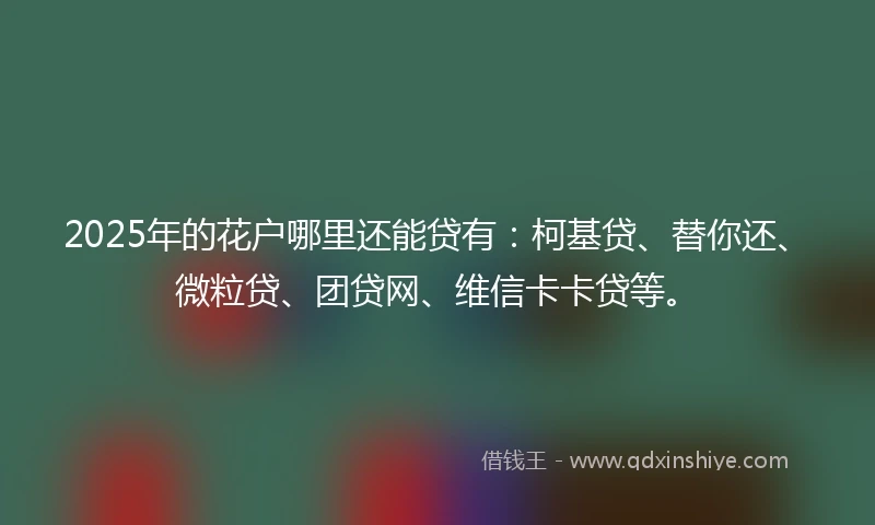 2025年的花户哪里还能贷有：柯基贷、替你还、微粒贷、团贷网、维信卡卡贷等。