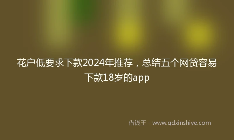 花户低要求下款2024年推荐，总结五个网贷容易下款18岁的app