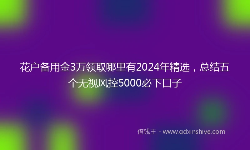 花户备用金3万领取哪里有2024年精选，总结五个无视风控5000必下口子