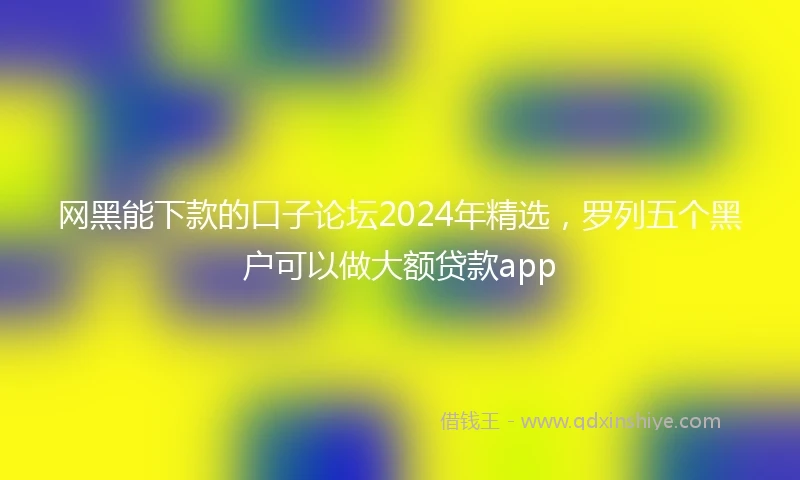 网黑能下款的口子论坛2024年精选，罗列五个黑户可以做大额贷款app