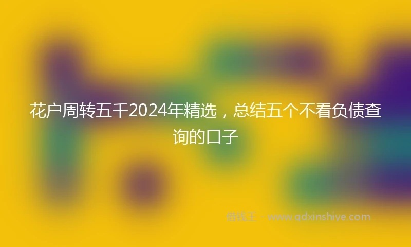 花户周转五千2024年精选，总结五个不看负债查询的口子