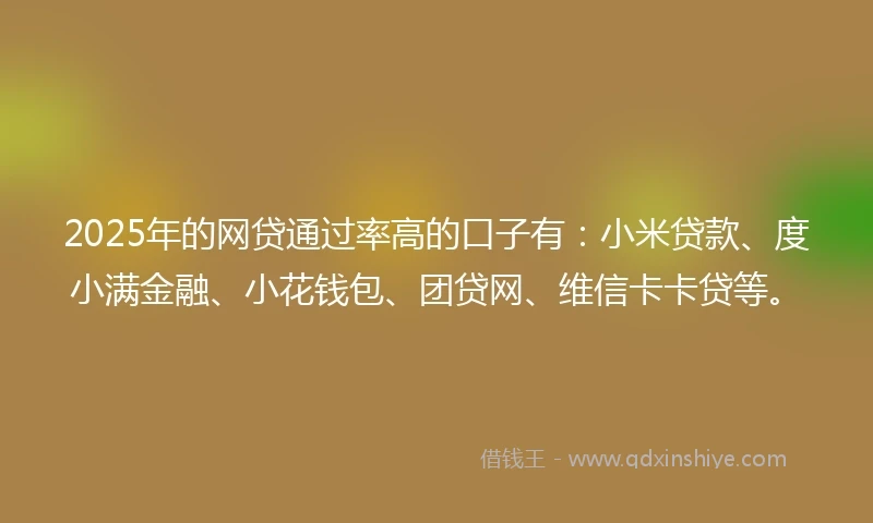 2025年的网贷通过率高的口子有:小米贷款、度小满金融、小花钱包、团贷网、维信卡卡贷等。