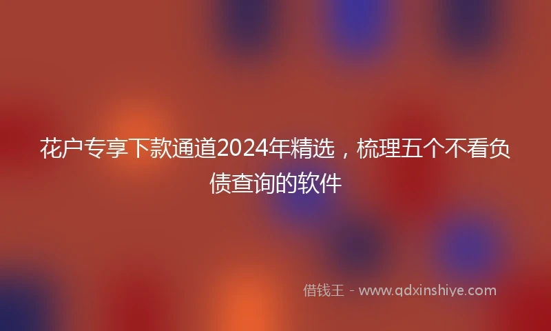 花户专享下款通道2024年精选，梳理五个不看负债查询的软件