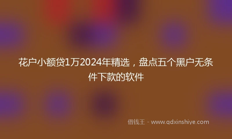 花户小额贷1万2024年精选，盘点五个黑户无条件下款的软件