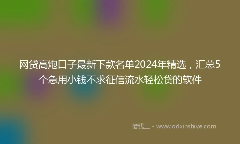 网贷高炮口子最新下款名单2024年精选，汇总5个急用小钱不求征信流水轻松贷的软件