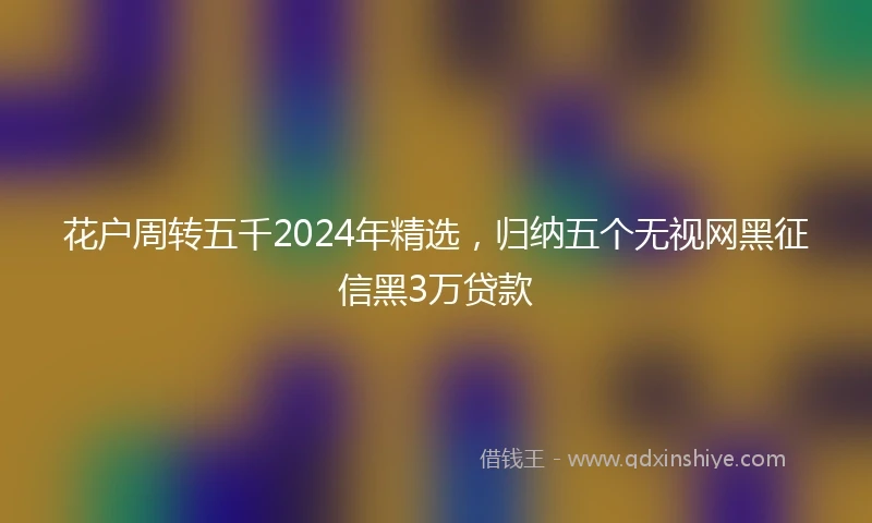 花户周转五千2024年精选，归纳五个无视网黑征信黑3万贷款