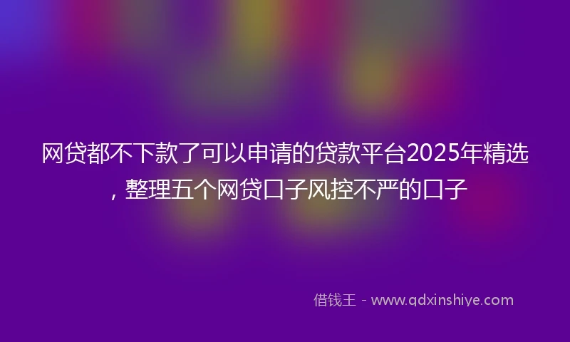 网贷都不下款了可以申请的贷款平台2025年精选，整理五个网贷口子风控不严的口子