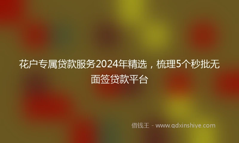 花户专属贷款服务2024年精选，梳理5个秒批无面签贷款平台