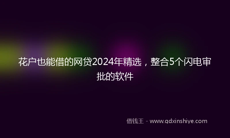 花户也能借的网贷2024年精选，整合5个闪电审批的软件