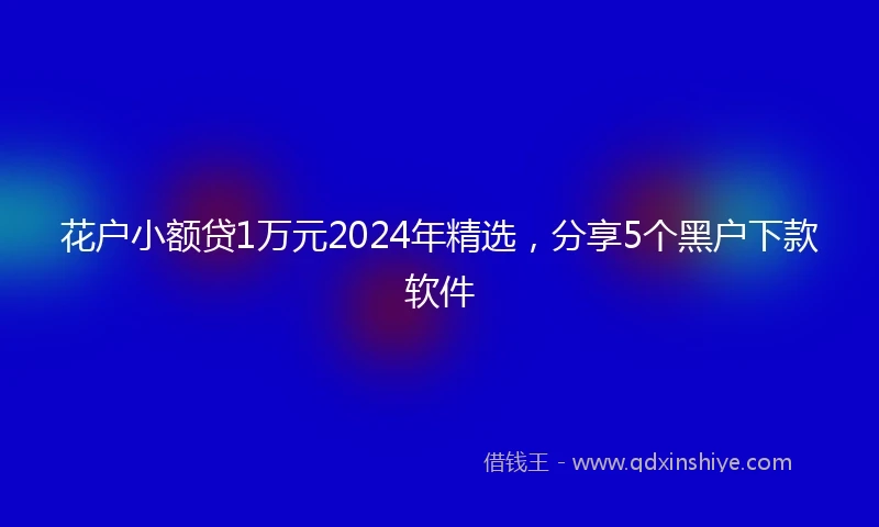 花户小额贷1万元2024年精选，分享5个黑户下款软件