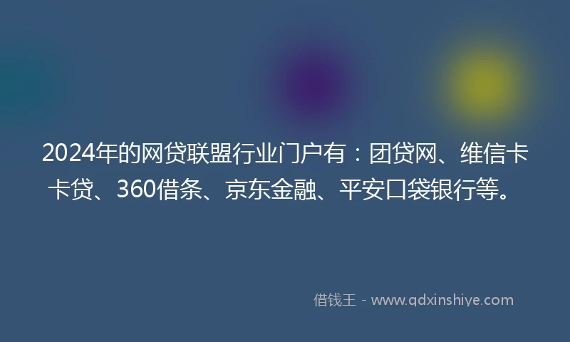 2024年的网贷联盟行业门户有：团贷网、维信卡卡贷、360借条、京东金融、平安口袋银行等。