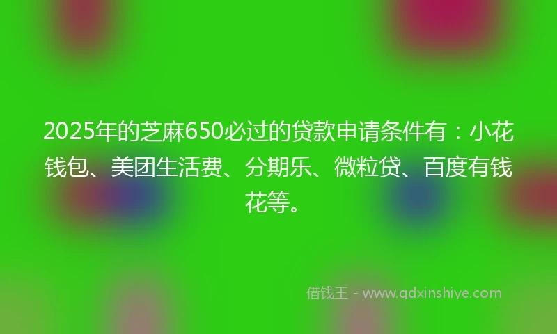 2025年的芝麻650必过的贷款申请条件有：小花钱包、美团生活费、分期乐、微粒贷、百度有钱花等。