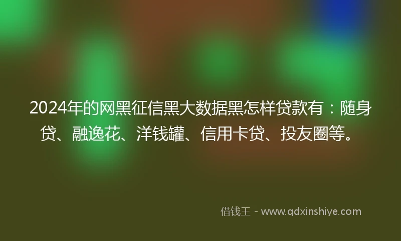 2024年的网黑征信黑大数据黑怎样贷款有：随身贷、融逸花、洋钱罐、信用卡贷、投友圈等。