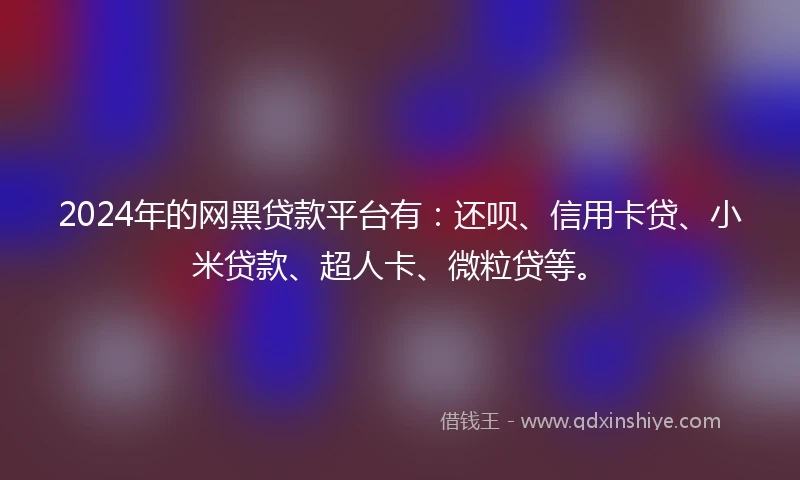 2024年的网黑贷款平台有:还呗、信用卡贷、小米贷款、超人卡、微粒贷等。