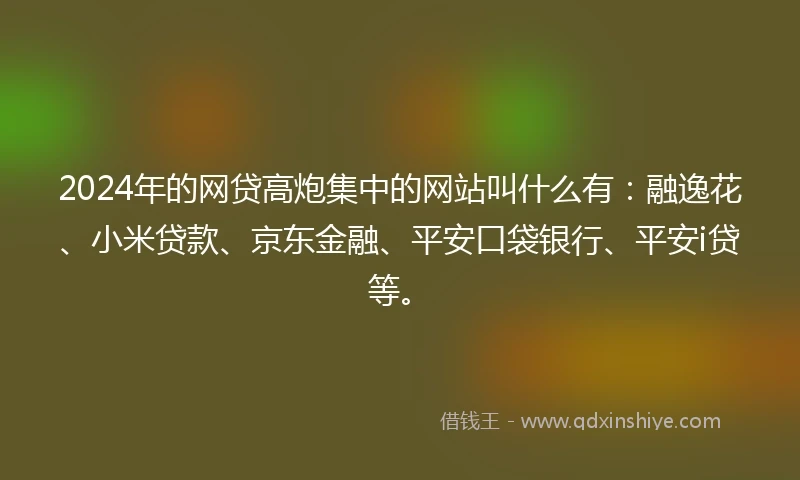 2024年的网贷高炮集中的网站叫什么有：融逸花、小米贷款、京东金融、平安口袋银行、平安i贷等。