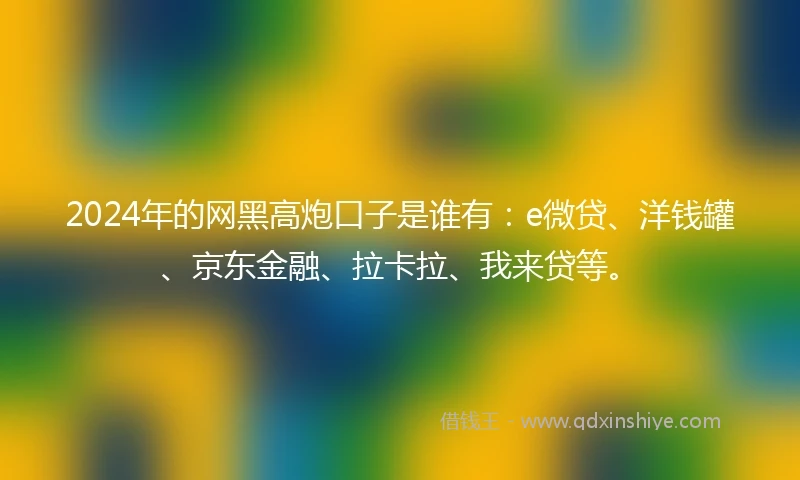 2024年的网黑高炮口子是谁有：e微贷、洋钱罐、京东金融、拉卡拉、我来贷等。