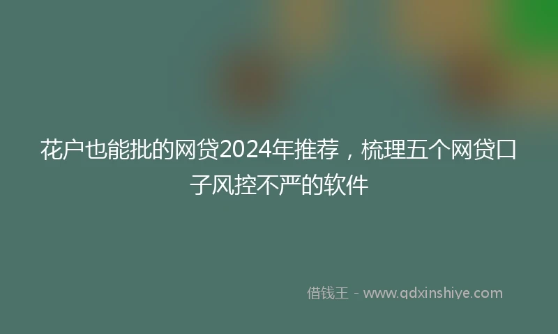 花户也能批的网贷2024年推荐，梳理五个网贷口子风控不严的软件
