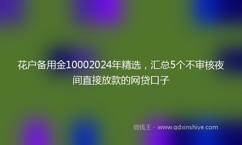 花户备用金10002024年精选，汇总5个不审核夜间直接放款的网贷口子