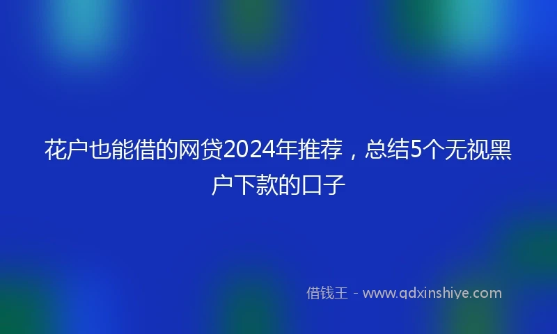 花户也能借的网贷2024年推荐，总结5个无视黑户下款的口子