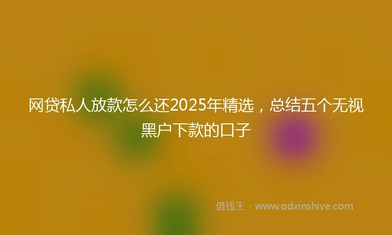 网贷私人放款怎么还2025年精选，总结五个无视黑户下款的口子