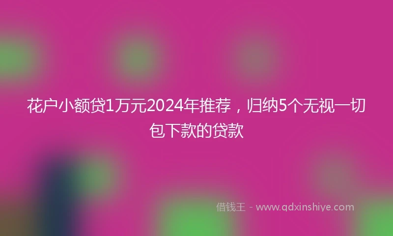 花户小额贷1万元2024年推荐，归纳5个无视一切包下款的贷款