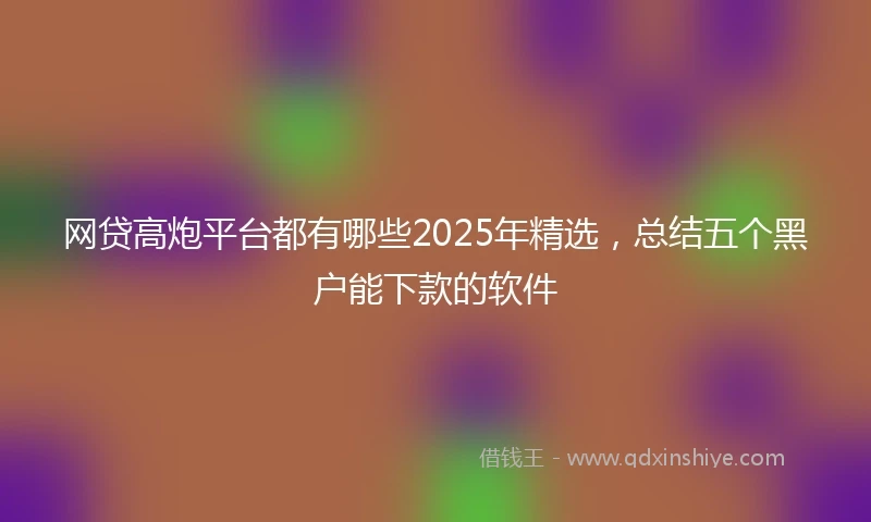 网贷高炮平台都有哪些2025年精选，总结五个黑户能下款的软件
