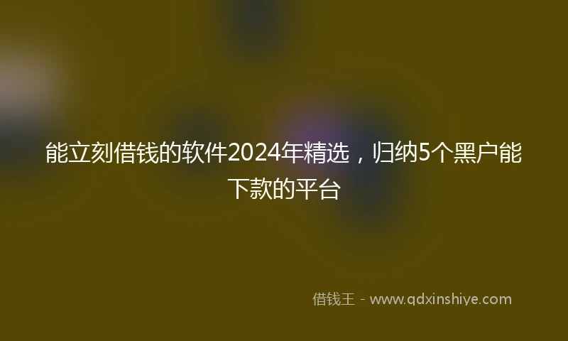 能立刻借钱的软件2024年精选，归纳5个黑户能下款的平台