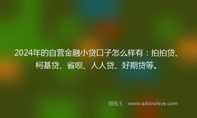 2024年的自营金融小贷口子怎么样有：拍拍贷、柯基贷、省呗、人人贷、好期贷等。