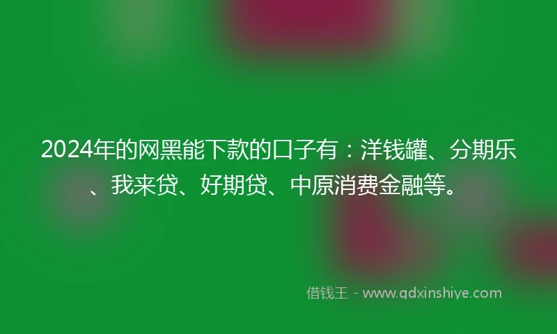 2024年的网黑能下款的口子有：洋钱罐、分期乐、我来贷、好期贷、中原消费金融等。