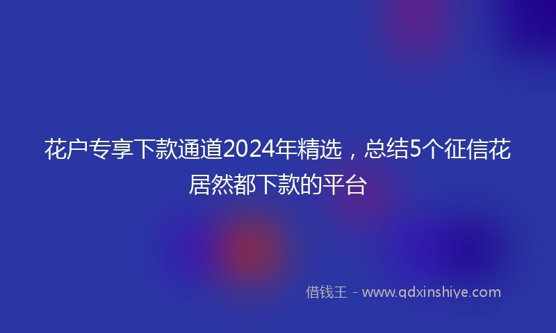 花户专享下款通道2024年精选，总结5个征信花居然都下款的平台