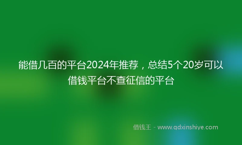 能借几百的平台2024年推荐，总结5个20岁可以借钱平台不查征信的平台