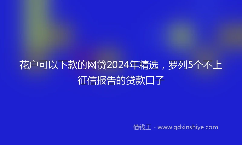 花户可以下款的网贷2024年精选，罗列5个不上征信报告的贷款口子