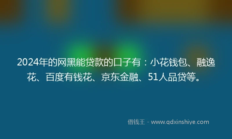 2024年的网黑能贷款的口子有：小花钱包、融逸花、百度有钱花、京东金融、51人品贷等。