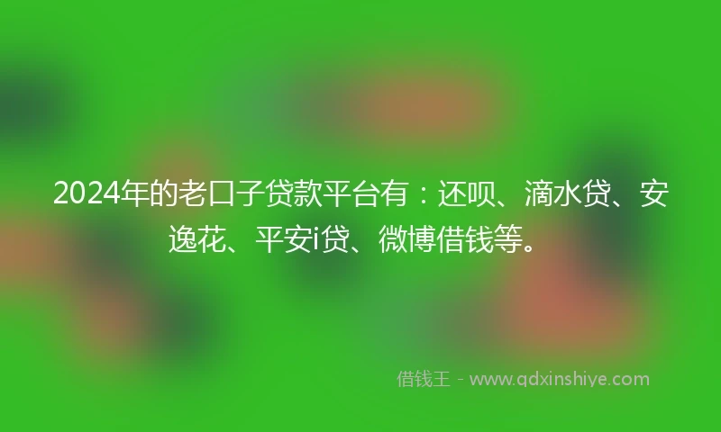 2024年的老口子贷款平台有：还呗、滴水贷、安逸花、平安i贷、微博借钱等。