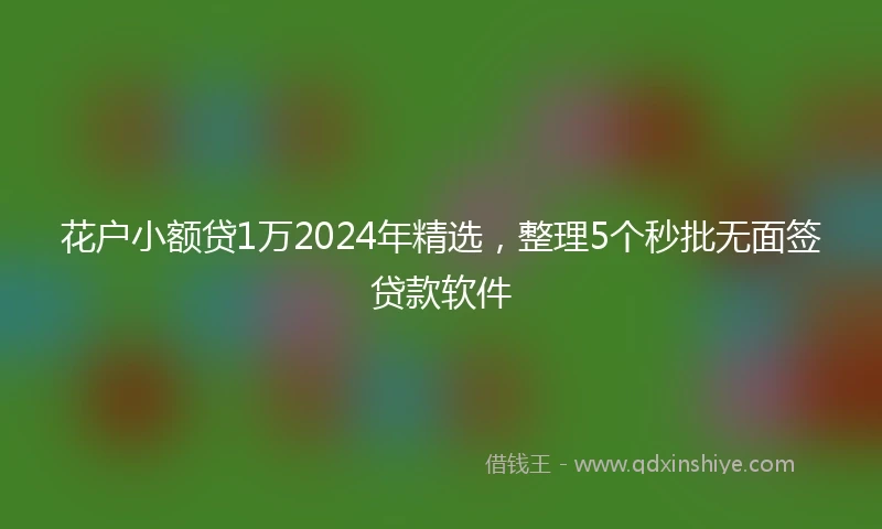 花户小额贷1万2024年精选，整理5个秒批无面签贷款软件