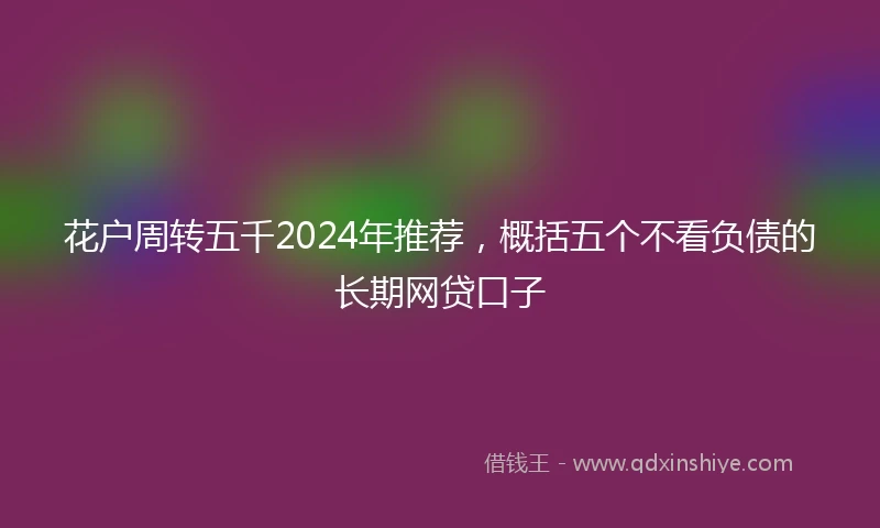 花户周转五千2024年推荐，概括五个不看负债的长期网贷口子