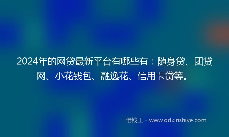 2024年的网贷最新平台有哪些有：随身贷、团贷网、小花钱包、融逸花、信用卡贷等。