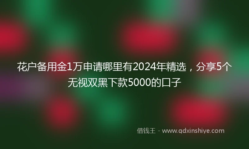 花户备用金1万申请哪里有2024年精选，分享5个无视双黑下款5000的口子