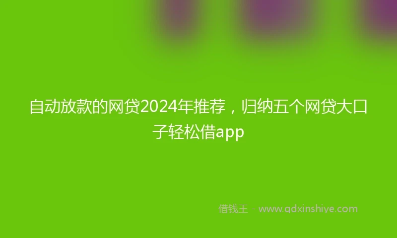 自动放款的网贷2024年推荐，归纳五个网贷大口子轻松借app