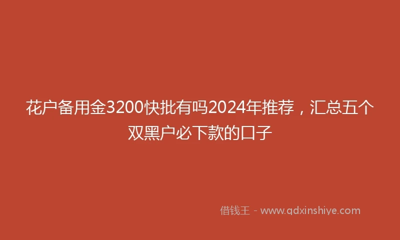 花户备用金3200快批有吗2024年推荐，汇总五个双黑户必下款的口子