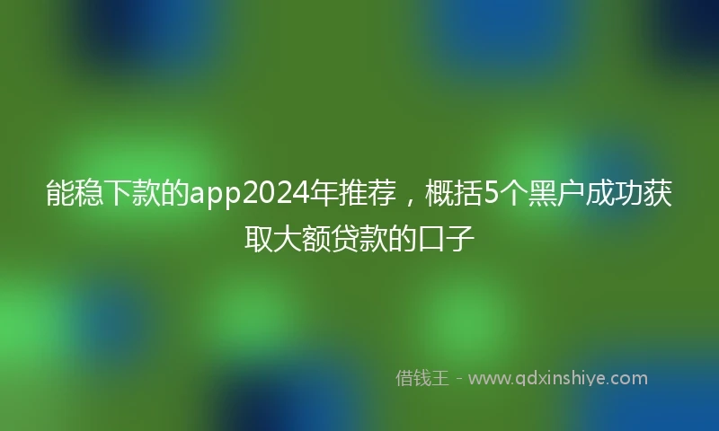 能稳下款的app2024年推荐，概括5个黑户成功获取大额贷款的口子