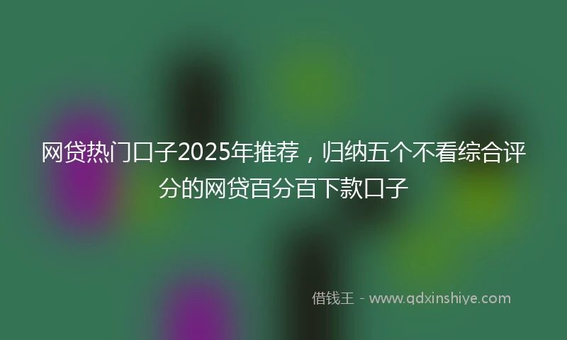网贷热门口子2025年推荐,归纳五个不看综合评分的网贷百分百下款口子