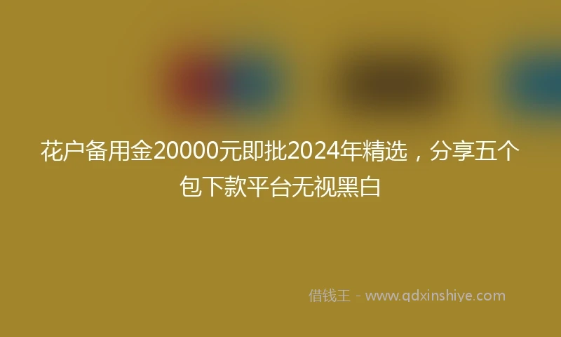 花户备用金20000元即批2024年精选,分享五个包下款平台无视黑白