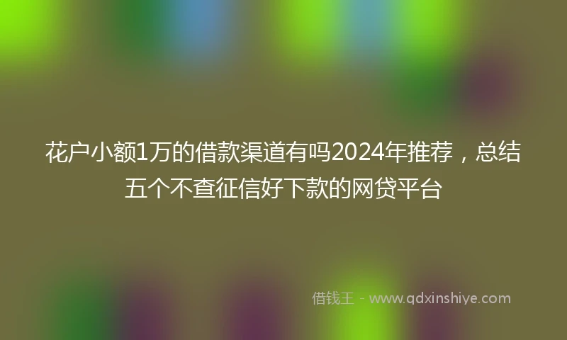 花户小额1万的借款渠道有吗2024年推荐,总结五个不查征信好下款的网贷平台