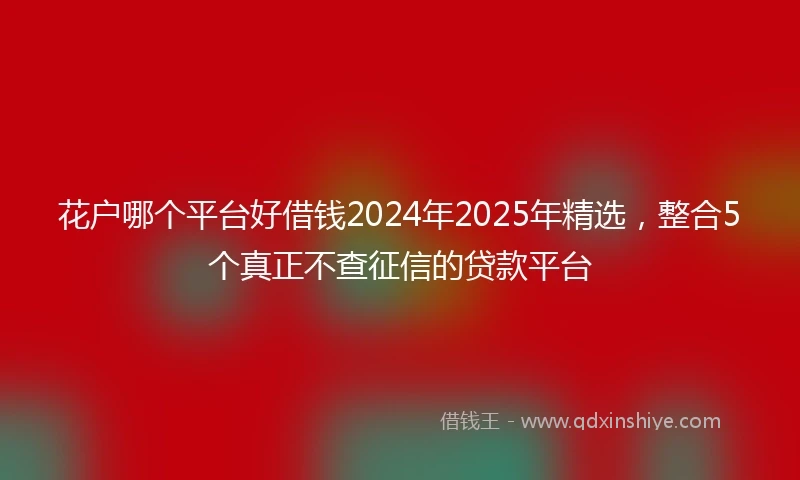 花户哪个平台好借钱2024年2025年精选，整合5个真正不查征信的贷款平台