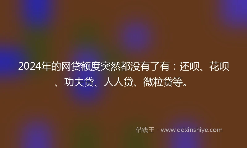 2024年的网贷额度突然都没有了有：还呗、花呗、功夫贷、人人贷、微粒贷等。