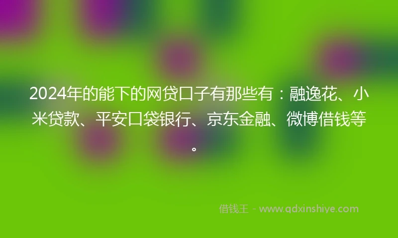 2024年的能下的网贷口子有那些有:融逸花、小米贷款、平安口袋银行、京东金融、微博借钱等。