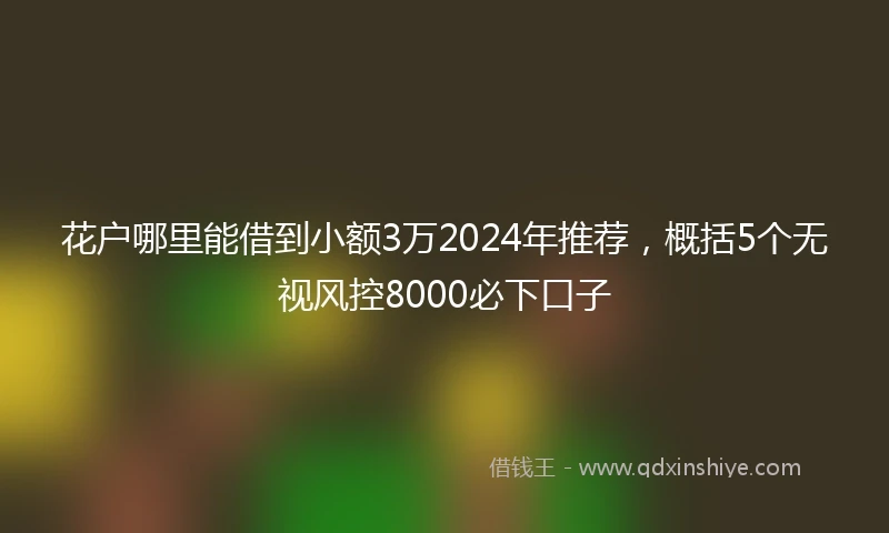 花户哪里能借到小额3万2024年推荐，概括5个无视风控8000必下口子