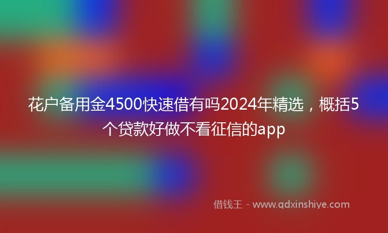 花户备用金4500快速借有吗2024年精选，概括5个贷款好做不看征信的app
