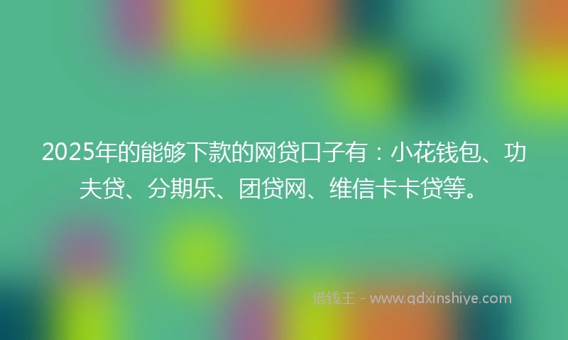 2025年的能够下款的网贷口子有：小花钱包、功夫贷、分期乐、团贷网、维信卡卡贷等。